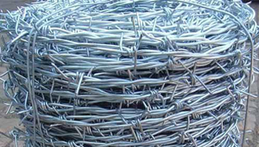 Galvanize Barbed Wires
